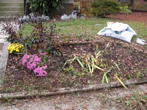 A little better after the first weeding.  The key is to look at it from different angles to see what you missed.
