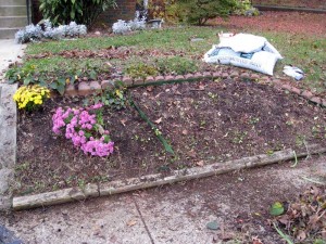 After the second weeding pass and ready for mulch.