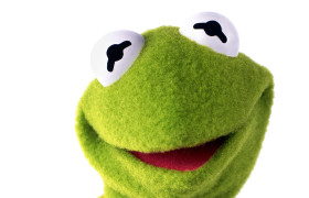 Kermit The Frog
