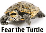Fear The Turtle